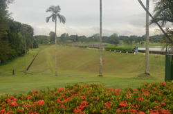 Sembawang Hills Estate (D20), Terrace #72313501